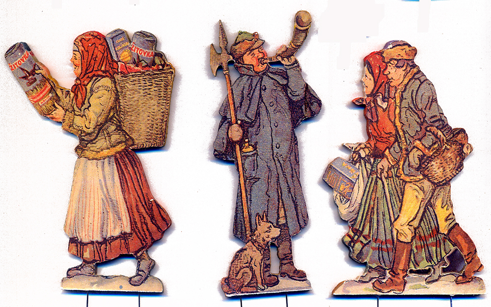 Kol�nsk� cikorka V-revers