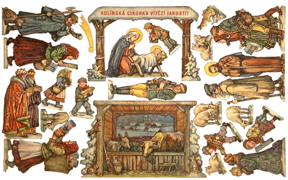 Kol�nsk� cikorka2, reprint